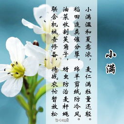 形容心情憂(yōu)愁的詩(shī)句的古詩(shī)