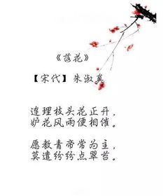 關(guān)于花的詩(shī)句或文章
