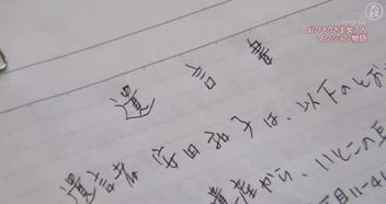 關(guān)于婚姻無意義的詩句