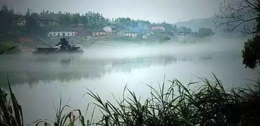 有關小道的詩句古詩