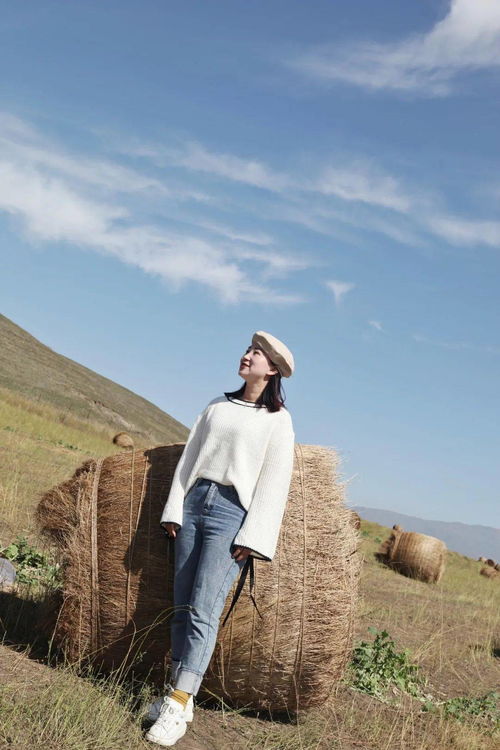 關(guān)于昭蘇的詩(shī)句