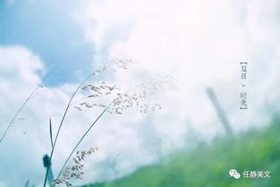 寫出關(guān)于感嘆時(shí)光的詩句