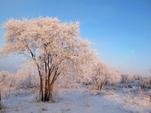 贊美柳樹(shù)的古詩(shī)句有哪些,描寫(xiě)柳樹(shù)的古詩(shī)句,寫(xiě)柳樹(shù)的古詩(shī)句