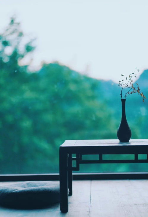 唯美的關(guān)于影子的詩句名字