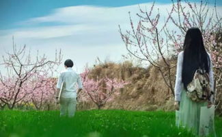 關(guān)于樹的品質(zhì)詩句