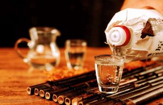 含有酒字的古詩句,帶有酒的古詩句,贊美酒的古詩句