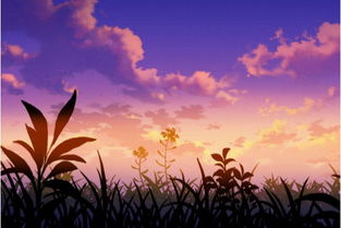 關于塔的優(yōu)美詩句