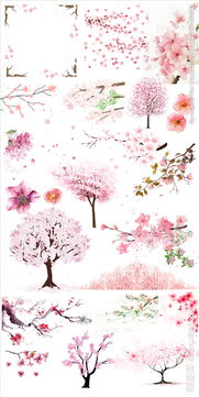 關于桃花櫻花未開的詩句