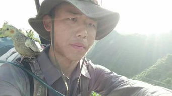 關(guān)于執(zhí)著無(wú)畏的詩(shī)句