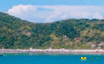 詩句,景色,春天