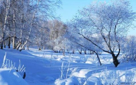 寫出兩句關(guān)于雪的詩句