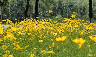 關(guān)于奉獻(xiàn)精神的古詩句,贊美奉獻(xiàn)精神的句子古詩,老師奉獻(xiàn)精神的古詩句