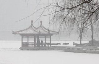 雪西湖的詩(shī)句古詩(shī)