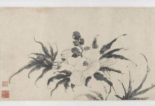 關(guān)于墨菊的詩(shī)句