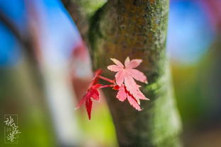 詩句,擦肩,邂逅