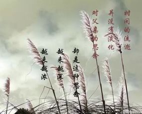 想念逝去的父親的古詩句子