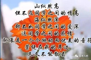 詩(shī)句,真摯,同學(xué)之間