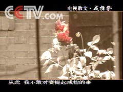 關(guān)于婚禮的散文詩(shī)句