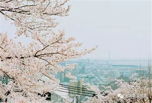 很深,詩句,于心