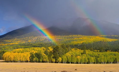 關(guān)于風雨后見彩虹的古詩句