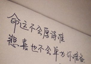 關(guān)于堅(jiān)持到底的古詩句