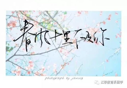 關(guān)于桃花非常多的詩(shī)句