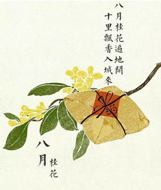 寫(xiě)桂花的詩(shī)句古詩(shī)詞,贊美桂花的詩(shī)句古詩(shī)詞,帶有桂花的詩(shī)句古詩(shī)詞