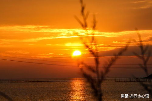 關(guān)于景色的五言詩(shī)句