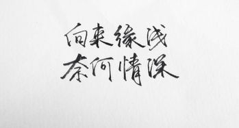 關(guān)于緣淺的詩句