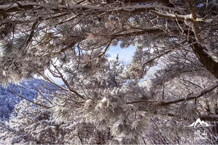 古詩(shī)逢仙詩(shī)句