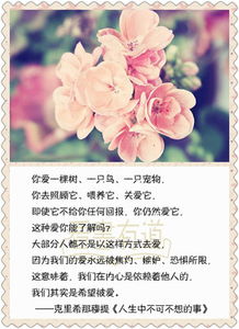 祝福萬(wàn)事如意的古詩(shī)句