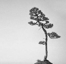 關(guān)于身處田園林泉的詩句