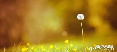 關(guān)于陽光的的詩句