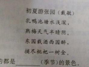 古詩中寫色的詩句