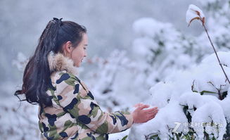 雪中美女古詩句