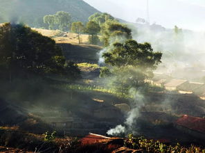 關(guān)于鄉(xiāng)村月亮炊煙夕陽的詩句