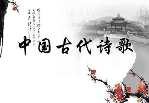 關(guān)于自由的詩句有哪些