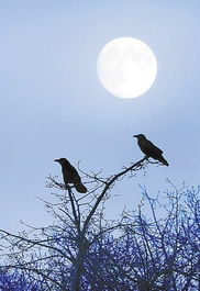 關(guān)于富有哲理的詩句