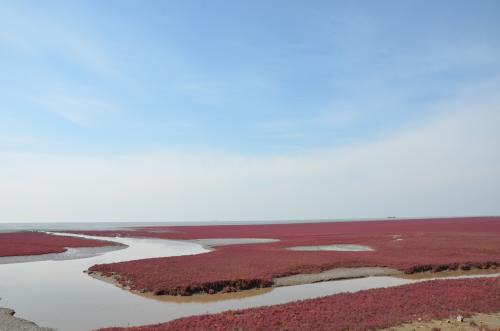 關(guān)于贊美紅海灘的詩句