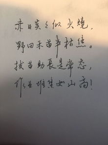 詩句,比喻,流逝,青春