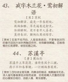 古詩(shī),詩(shī)句,課外,春風(fēng)