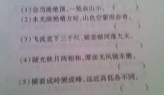 寫出幾條關(guān)于黃河的著名詩句