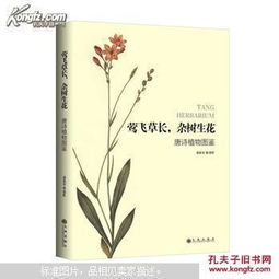 植物的詩句古詩,寫植物的詩句古詩,贊美植物的詩句古詩