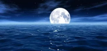 小學(xué)描寫夏天的詩(shī)句古詩(shī)大全,小學(xué)描寫雪的詩(shī)句古詩(shī)大全,小學(xué)描寫冬天的詩(shī)句古詩(shī)大全