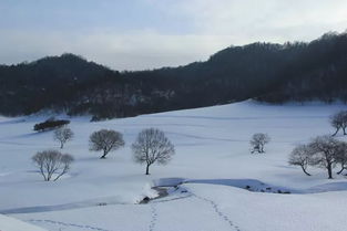 帶關(guān)山的詩句古詩
