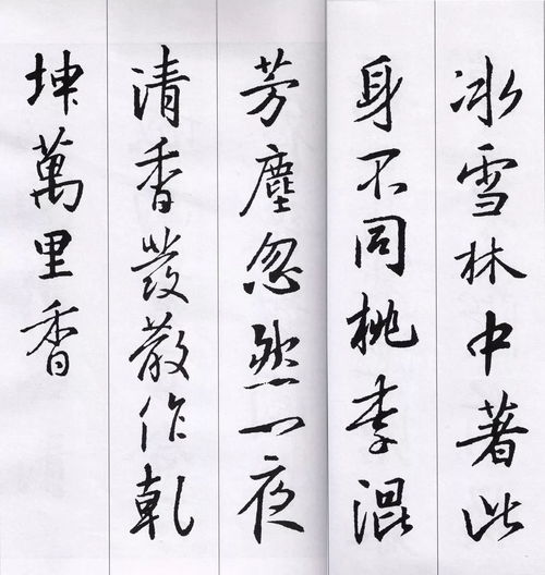 關(guān)于洋字的詩句