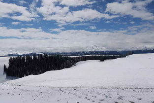 詩句,冬天,有哪些