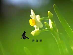 關(guān)于朱自清《春》的詩句