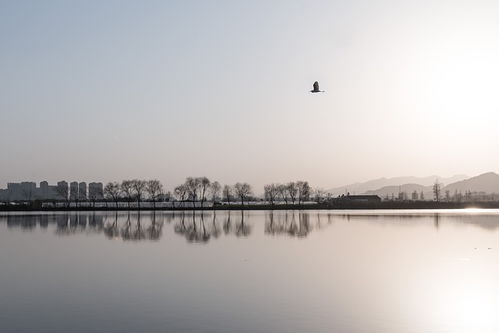 描寫江南的詩句古詩100首
