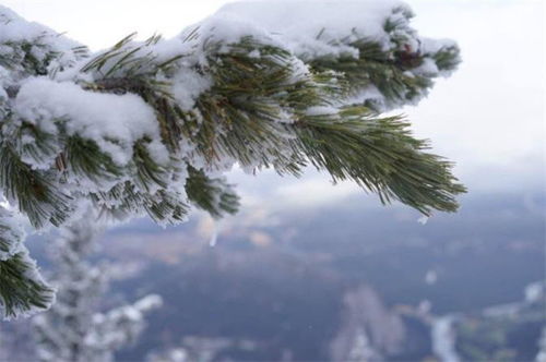 關(guān)于暮云的詩句唯美,帶有暮云的詩句,帶暮云的詩句
